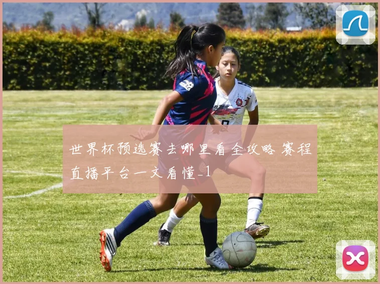 世界杯预选赛去哪里看全攻略 赛程直播平台一文看懂_1
