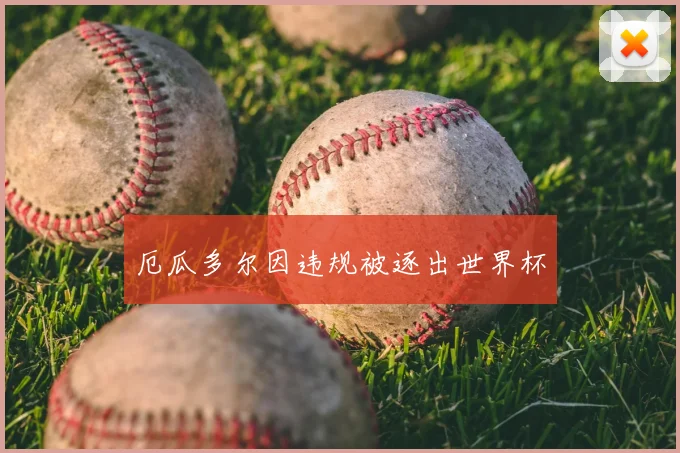 厄瓜多尔因违规被逐出世界杯