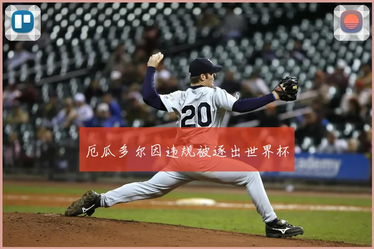 厄瓜多尔因违规被逐出世界杯